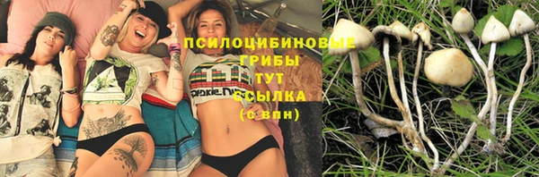 прущая мука Семилуки