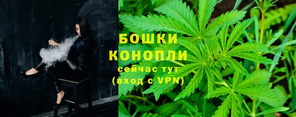 твердый Богородицк