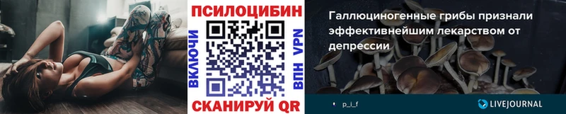наркотики  Туран  Псилоцибиновые грибы мицелий 